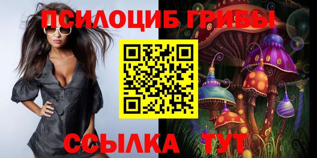 Галлюциногенные грибы Magic Shrooms Нижний Новгород
